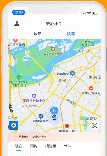 安心小牛(图2)