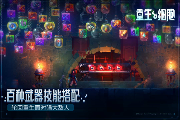 重生细胞bilibili版