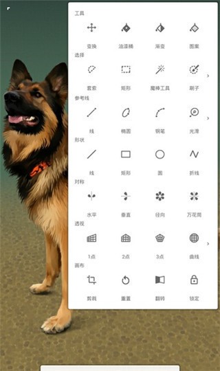 infinite painter官方版
