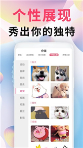intolive动态壁纸