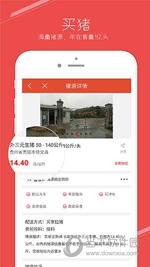 国家生猪市场(图2) 国家生猪市场(图2)