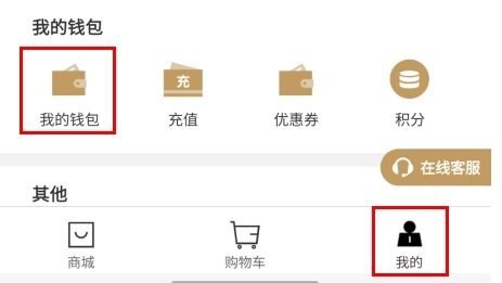 怎么设置电子钱包配图1
