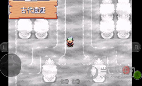口袋妖怪永恒之沫