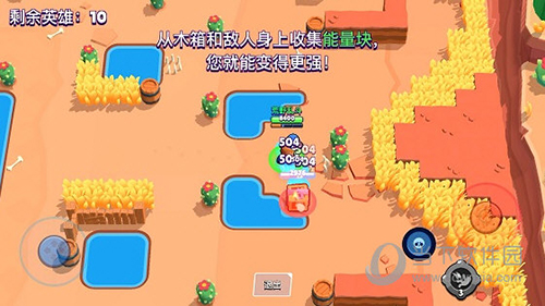 荒野乱斗
