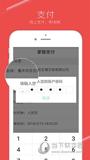 国家生猪市场(图4) 国家生猪市场(图4)