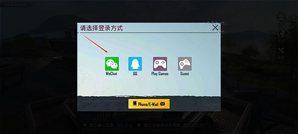 刺激战场国际服手游