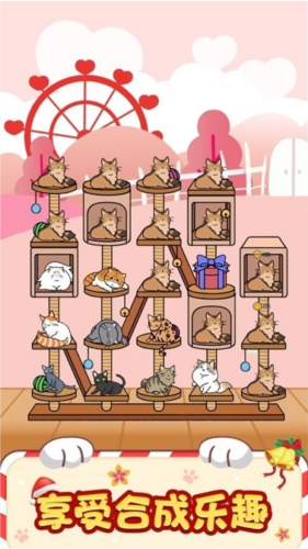 猫咪旅行家