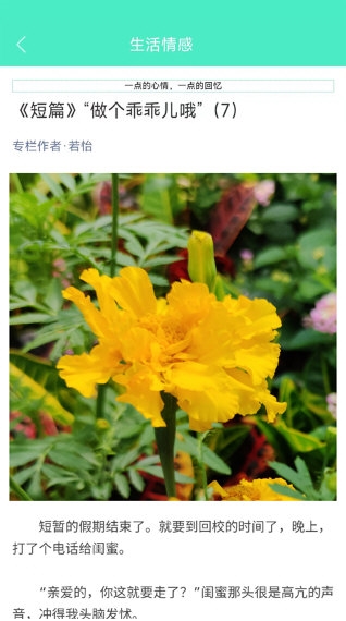 天天日历(图1) 天天日历(图1)