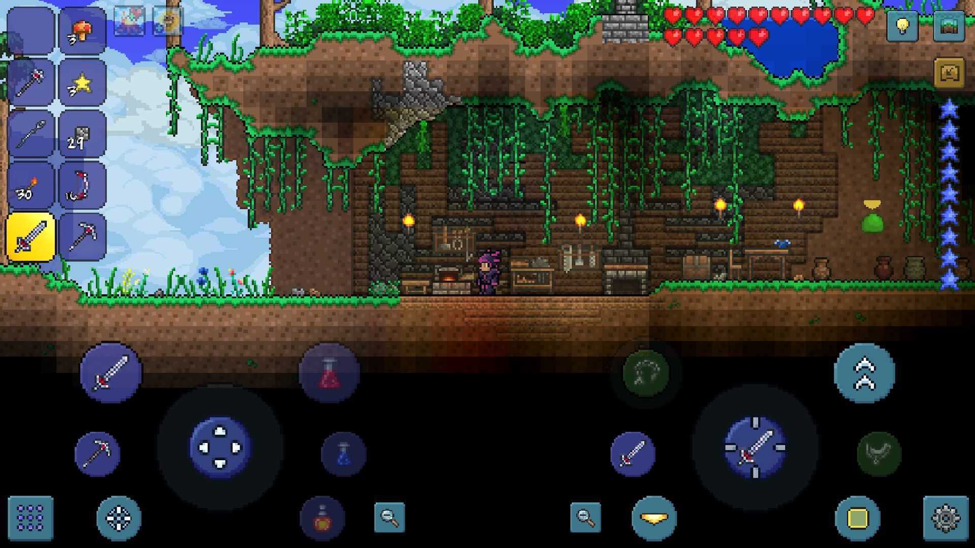 泰拉瑞亚汉化版内置ee悬浮窗