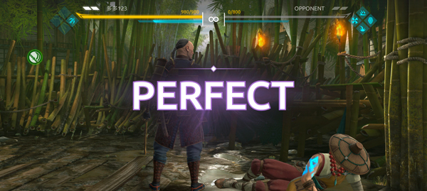 ShadowFight4安装器
