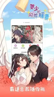 紫色鳗鱼官方正版