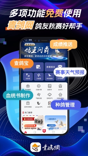 青鸽网官方最新版