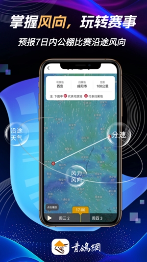 青鸽网官方最新版