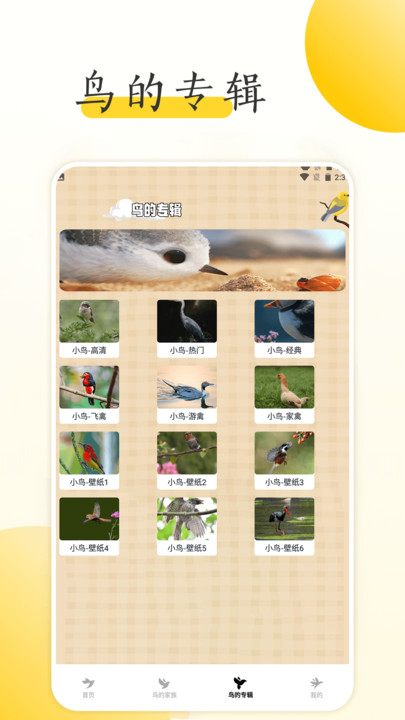 小鸟壁纸大全 小鸟壁纸大全