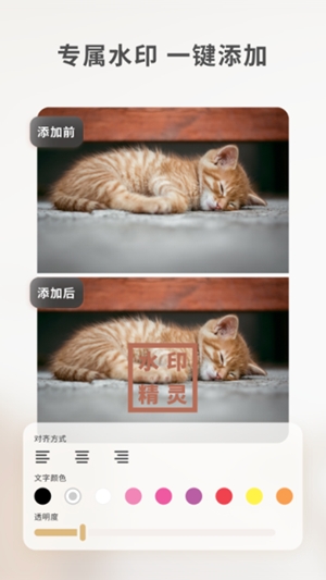 乐其爱水印精灵官方最新版