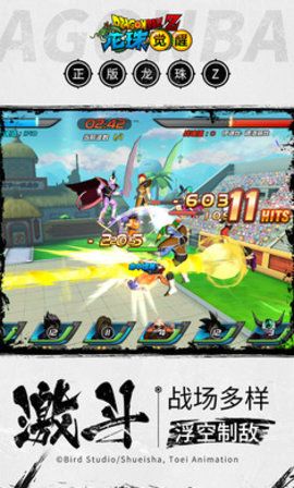 赛亚觉醒(图2) 赛亚觉醒(图2)