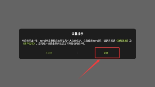 皮P喵安卓官方版(图2) 皮P喵安卓官方版(图2)