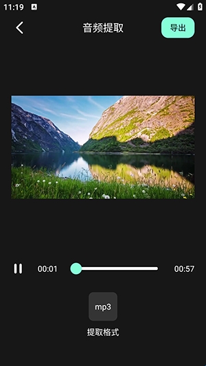 au(图4)