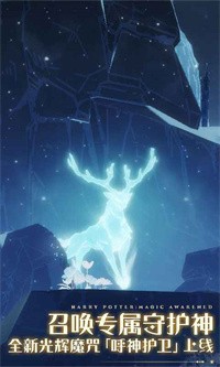 哈利波特魔法觉醒一周年