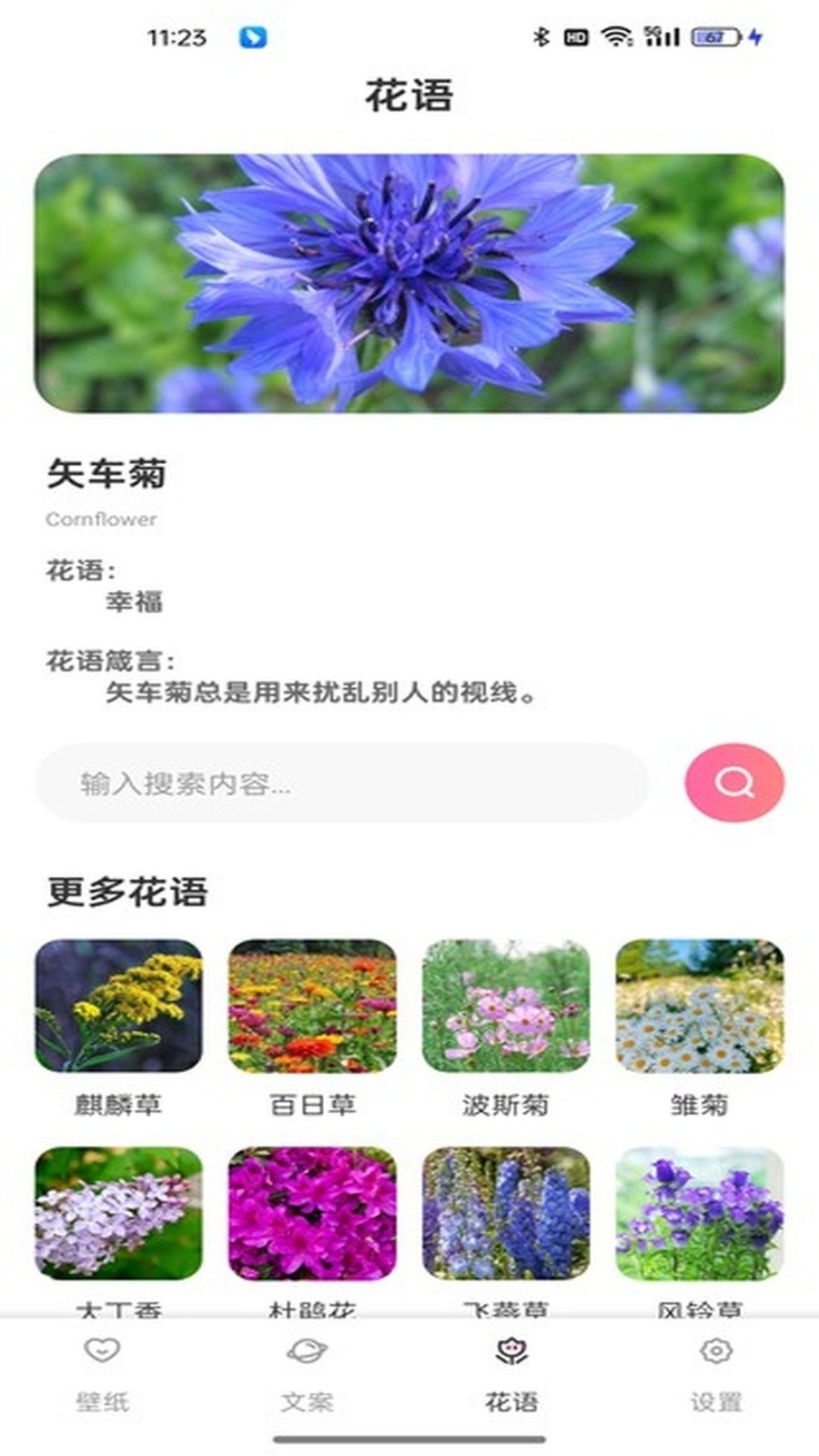 傲娇壁纸app官方版