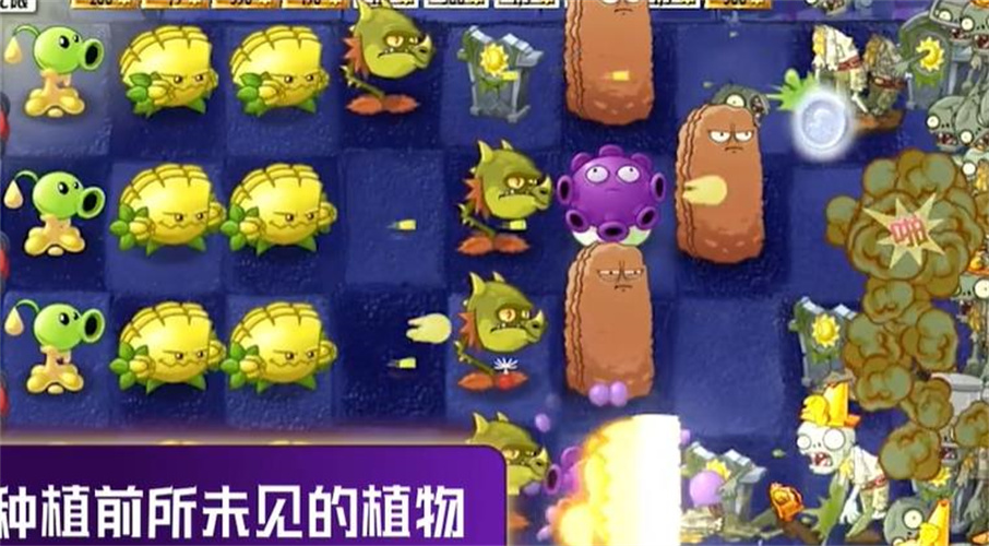 PVZ时空之旅