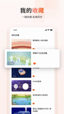 火花学院