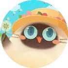 猫咪公寓小游戏