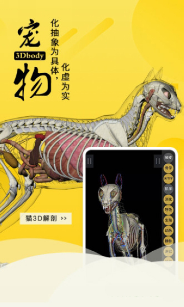 3Dbody宠物