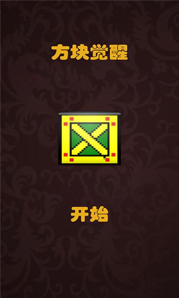 方块觉醒 方块觉醒