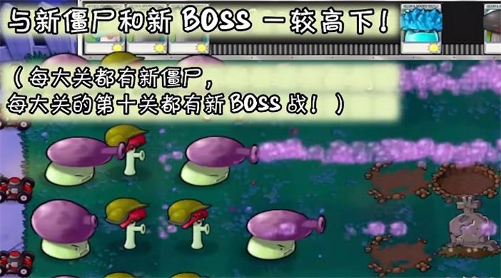 植物大战僵尸MOTS版