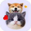 猫狗语翻译器