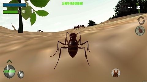 蚂蚁生存模拟器