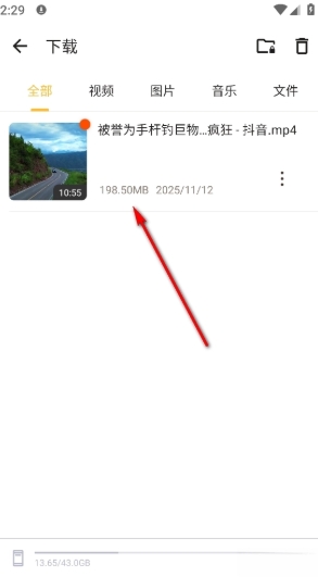 Downloader安卓版(图7) Downloader安卓版(图7)