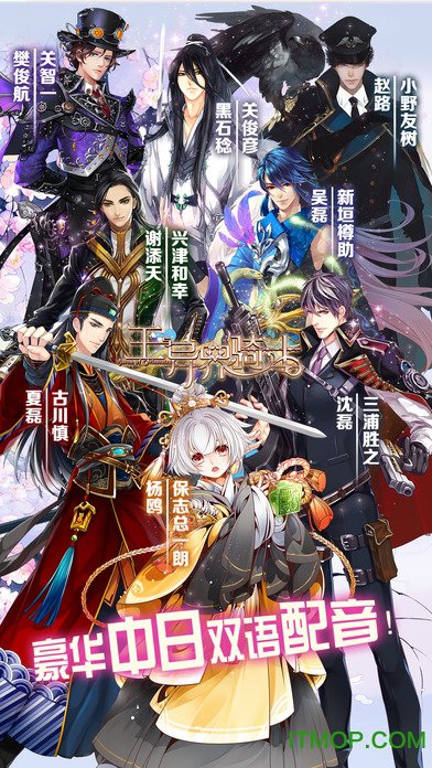王与异界骑士