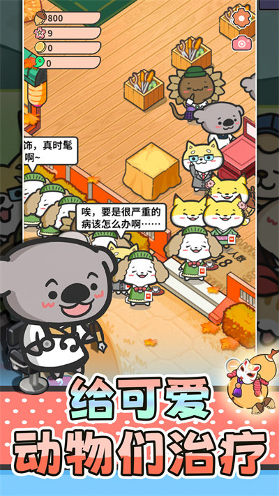 猫舍与动物之友
