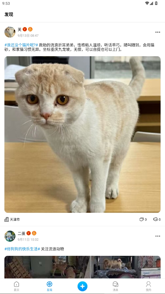 猫匿app官方版